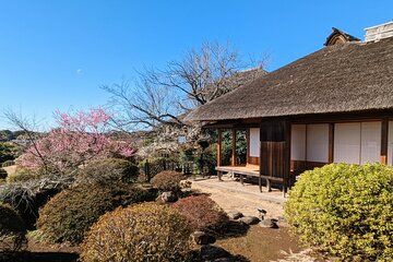 Ibaraki: Kairakuen, One of Japan’s Three Great Gardens