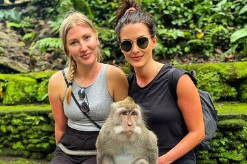 Sacred Monkey Forest, Water temple and Rice Terrace Tour