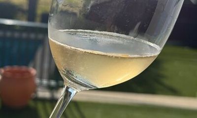 Wine Tasting at Quinta dos Novais in Douro Valley