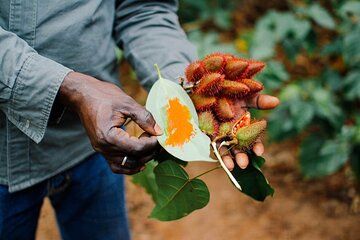 Zanzibar Tour Car Private Jambo Spice Farm