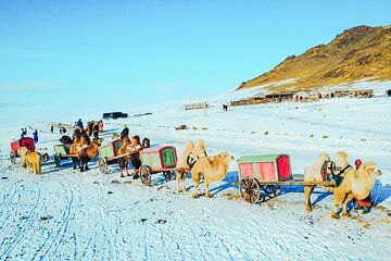 Winter Nomads: Welcome to Mongolia 1 Day tour