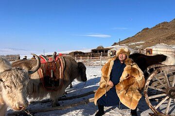 Winter Nomads: Welcome to Mongolia 1 Day tour