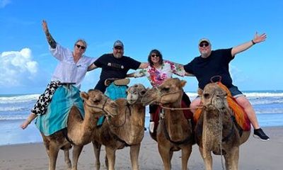 Luxury Tangier Day Trip from Marbella Private Guided Tour