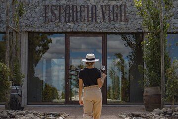 Exclusive Wine and Gourmet Lunch Experience at Estancia Vigil