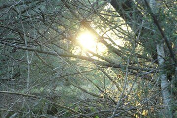 Nidra Yoga Guided Meditation Session