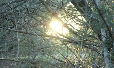 Nidra Yoga Guided Meditation Session