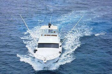 Private Yacht Cruise Montego Bay and Falmouth to Luminous Lagoon