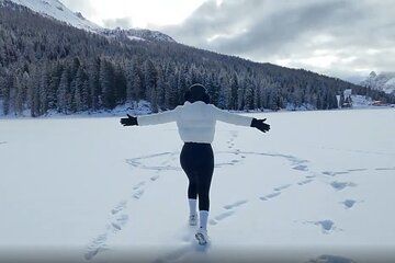 VENICE SNOWMOBILE to up and SLED to down to the Dolomites