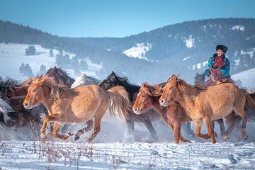 Celebrate Mongolia’s New Year the Nomadic Way