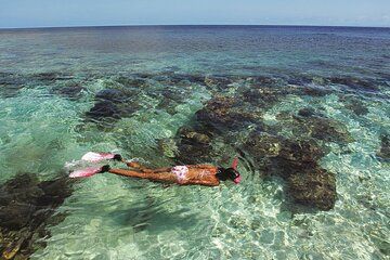 Roatan Private and Public Snorkel Tours and Charters