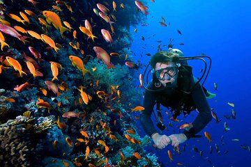 Roatan Scuba Diving Adventures and Charters