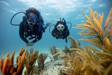 Discover Scuba Diving in Red Sea from resort