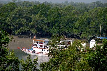 Full Day Kolkata to Sundarbans Jungle Safari