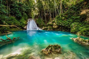 Blue Hole & Ocho Rios Discovery: Falmouth Private Shore Tour