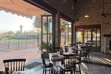 Private Wine Tour of San Miguel de Allende Tastings and Lunch