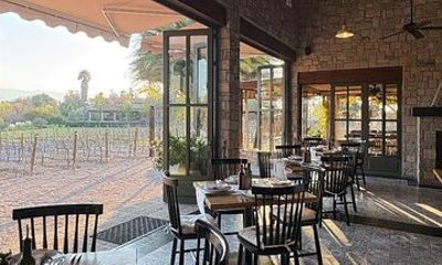 Private Wine Tour of San Miguel de Allende Tastings and Lunch