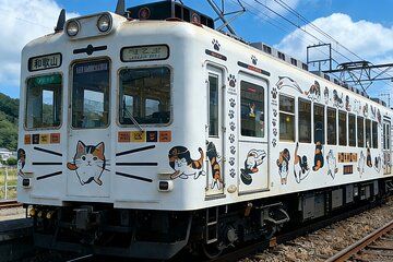 Classic One Day Tour from Kansai to Wakayama Prefecture