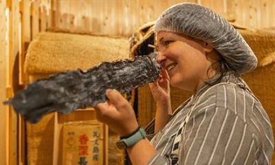 Explore and Discover the essence of Washoku with Sushi Lunch