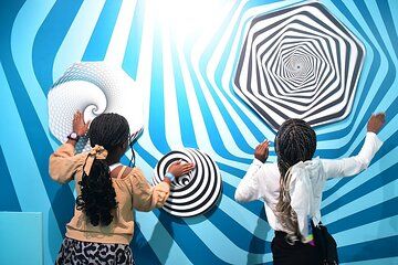 Seeing Beyond Reality Museum of Illusions and Giraffe centre