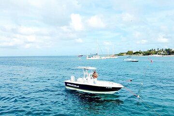 Private Boat Snorkeling with Sea Turtles in Aruba