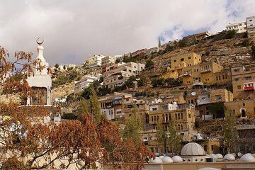 Salt City Full Day Tour from Amman