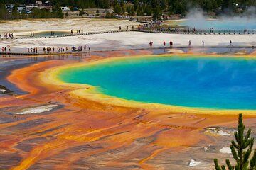 4 Day VIP Small Group Tour of Yellowstone and Grand Teton