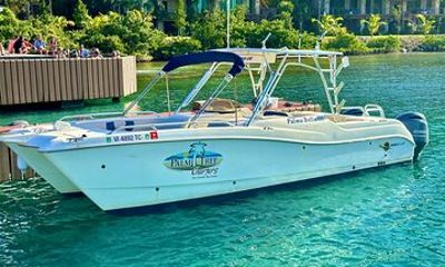 Full Day BVI Cruise on 27 Palma Bella III Worldcat
