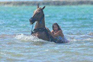 Horse swimming and polo experience