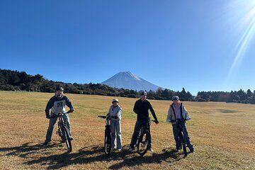 Private Full-Day Mt. Fuji Nature E-Bike Tour with Local Guide
