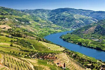 Douro Valley Wine Tour from Porto with River Cruise and Lunch