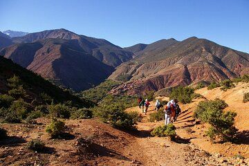 High Atlas Mountains and Tighdouin Valley Tour with Berber Lunch