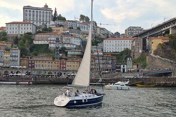 Port Cruise by the River Douro Landscapes and Relaxation