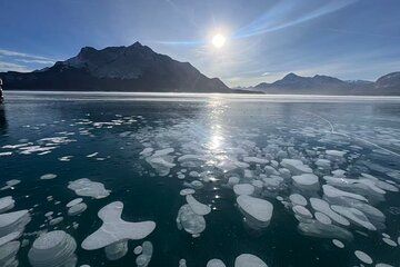 Private Day Tour to Icefield Parkway and Abraham Lake