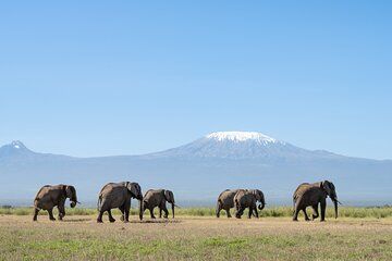 Nine Day Adventure Across the Wild Frontiers of Kenya