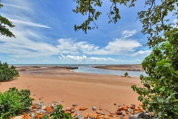 Darwin Signature City Nature and Sights Shore Excursion