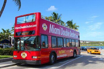 Miami City Sightseeing: Open Top Double Decker Bus Tour
