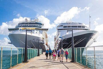 Bali Benoa Shore Excursions Private Ubud Tour