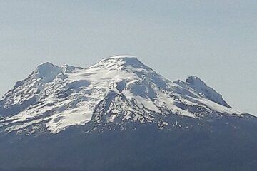 Sighting of Condors Antisana Reserve and Airport
