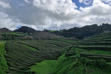 Furnas Tour with Visit to Thermal Fountains and Volcanic Landscapes
