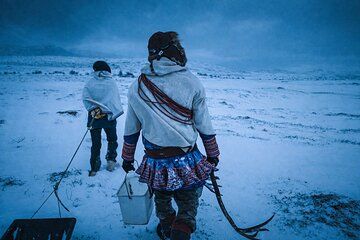 Authentic Sámi Experience and Reindeer Feeding in Tromsø