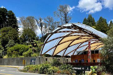 Waitomo Caves