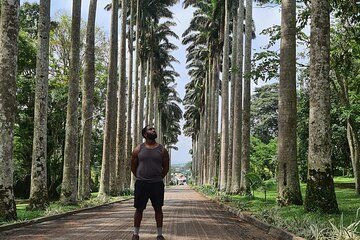 Accra City and Nature Day Tour with Waterfall and Lunch