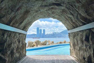 Busan Private Customizable City Tour with Licensed Local Guide
