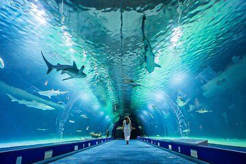 Lisbon Oceanarium Admission Ticket