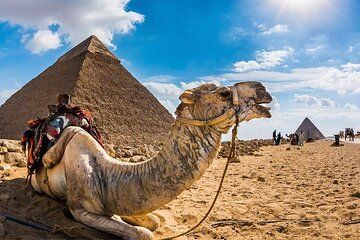 Full day Pyramids of Giza and Sphinx with Camel Ride and Lunch
