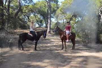 Horse Riding in Side - Horse Tour in Manavgat Forest and Beach