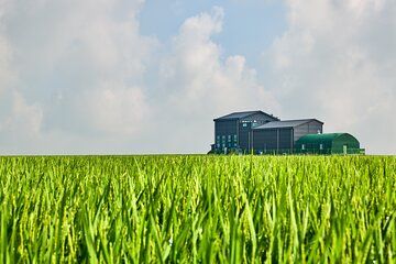 Korean Brewery Tour from Seoul with Lunch and Alcohol Tasting