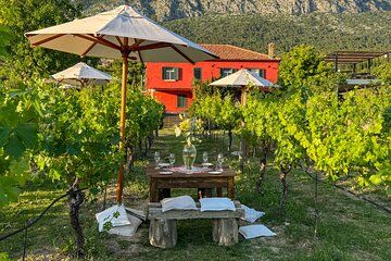 Dubrovnik Malvasia Wine Experience in Konavle