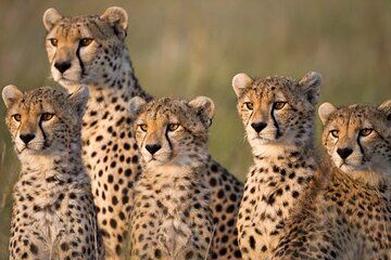 Overnight Tour Experience to Tsavo East National Park