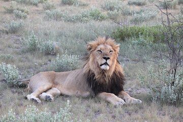 4 Days in Hide Safari Lodge Hwange National Park